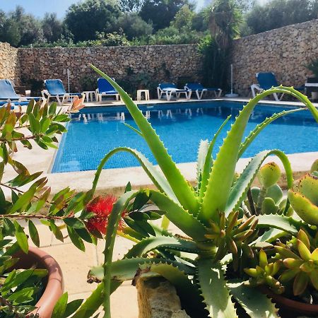Botanica B&B Xagħra Dış mekan fotoğraf