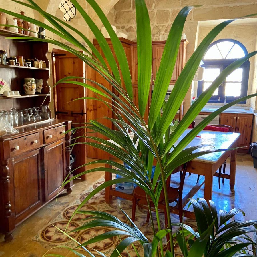Botanica B&B Xagħra Dış mekan fotoğraf