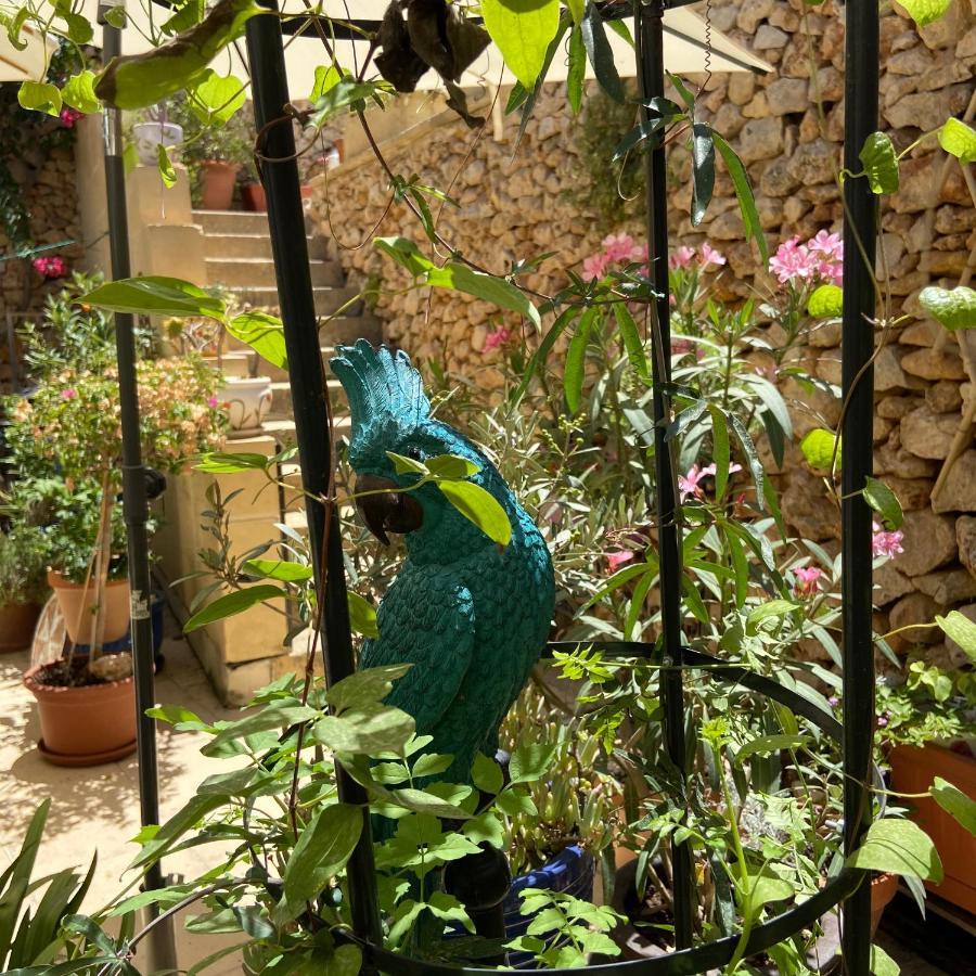 Botanica B&B Xagħra Dış mekan fotoğraf